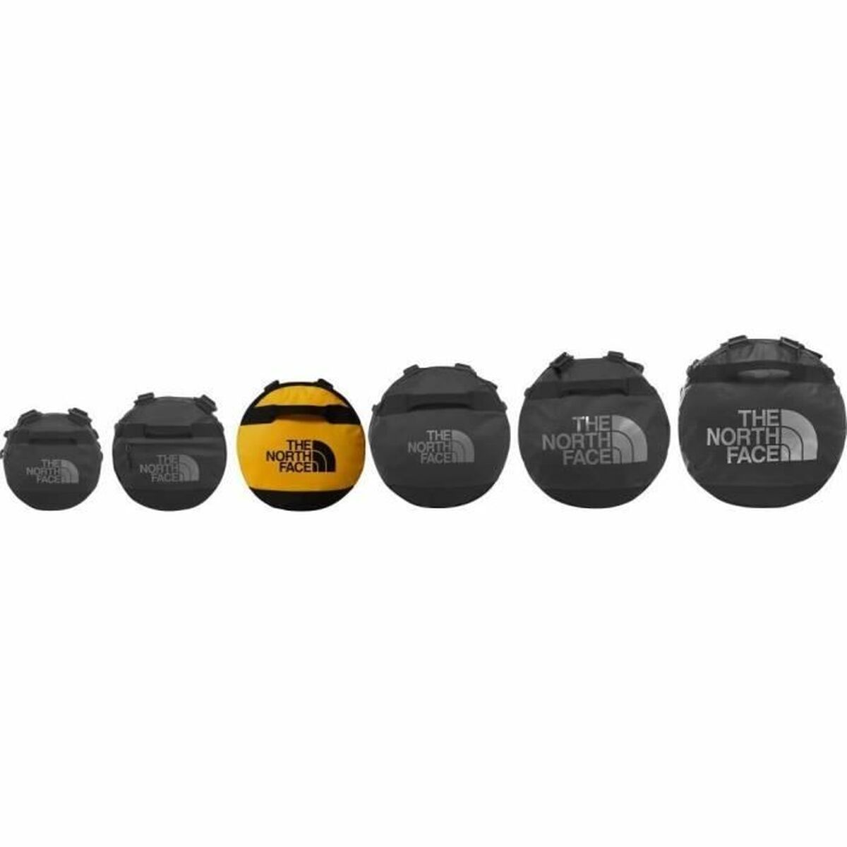 V4H49C55621EB1A6B310CD068F76E2022ADR5560728P4