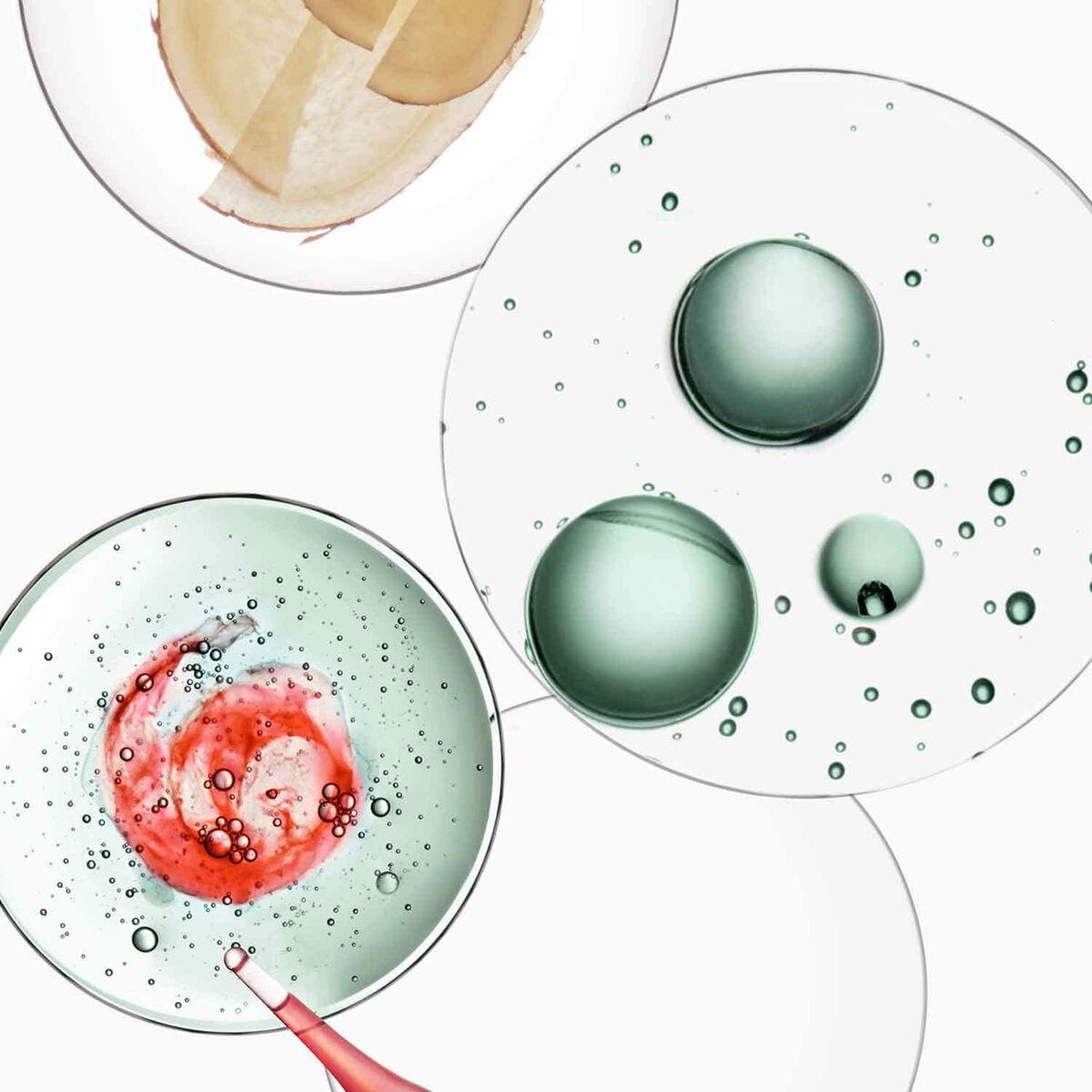 V3H0F1B86C75B19FAD8302E48E222D53EA0R7095582P3