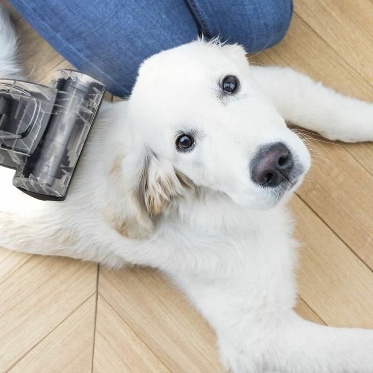 V3HFFEAF309F260EC6851ED0C0002E01EF0R7050551P6