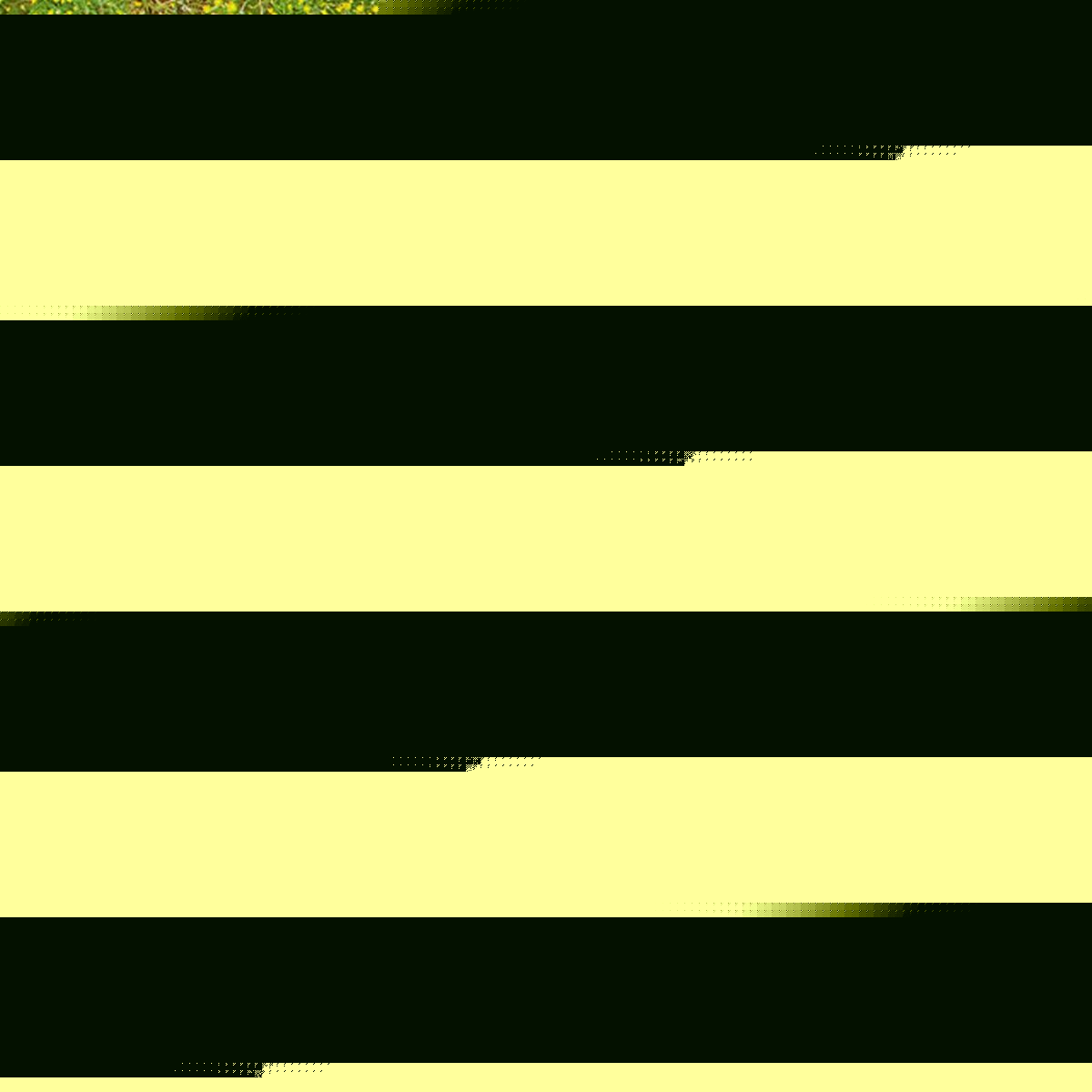 V5H0E4B1A3464C41CDDC129589C90EF685DR4005433P7