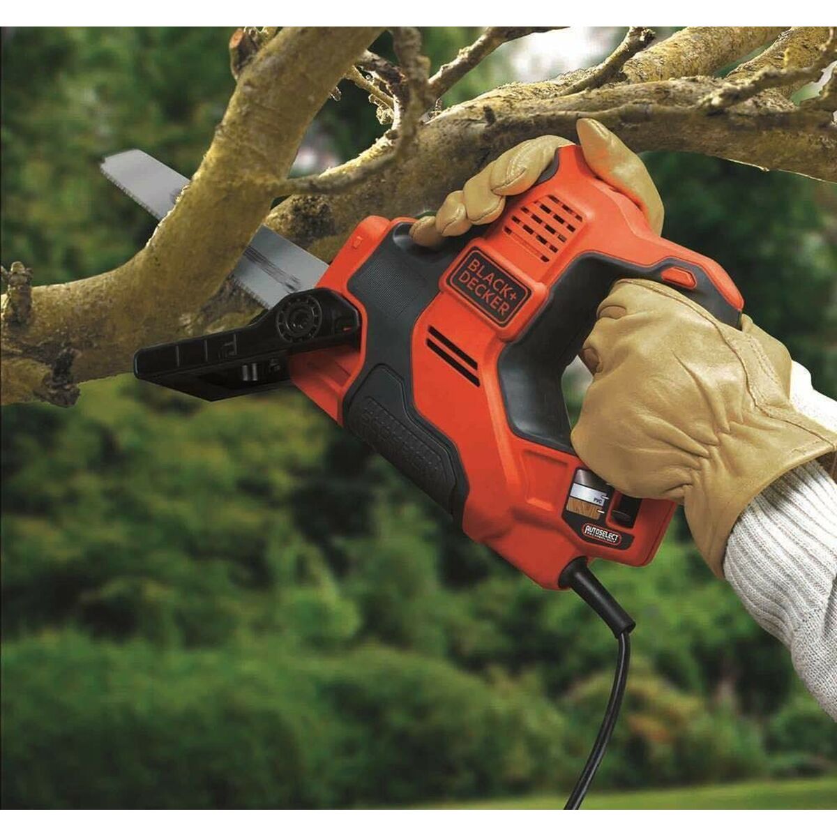 V5H9EEA354AAF1A3B2BB0383AE7AA96204CR5812036P10