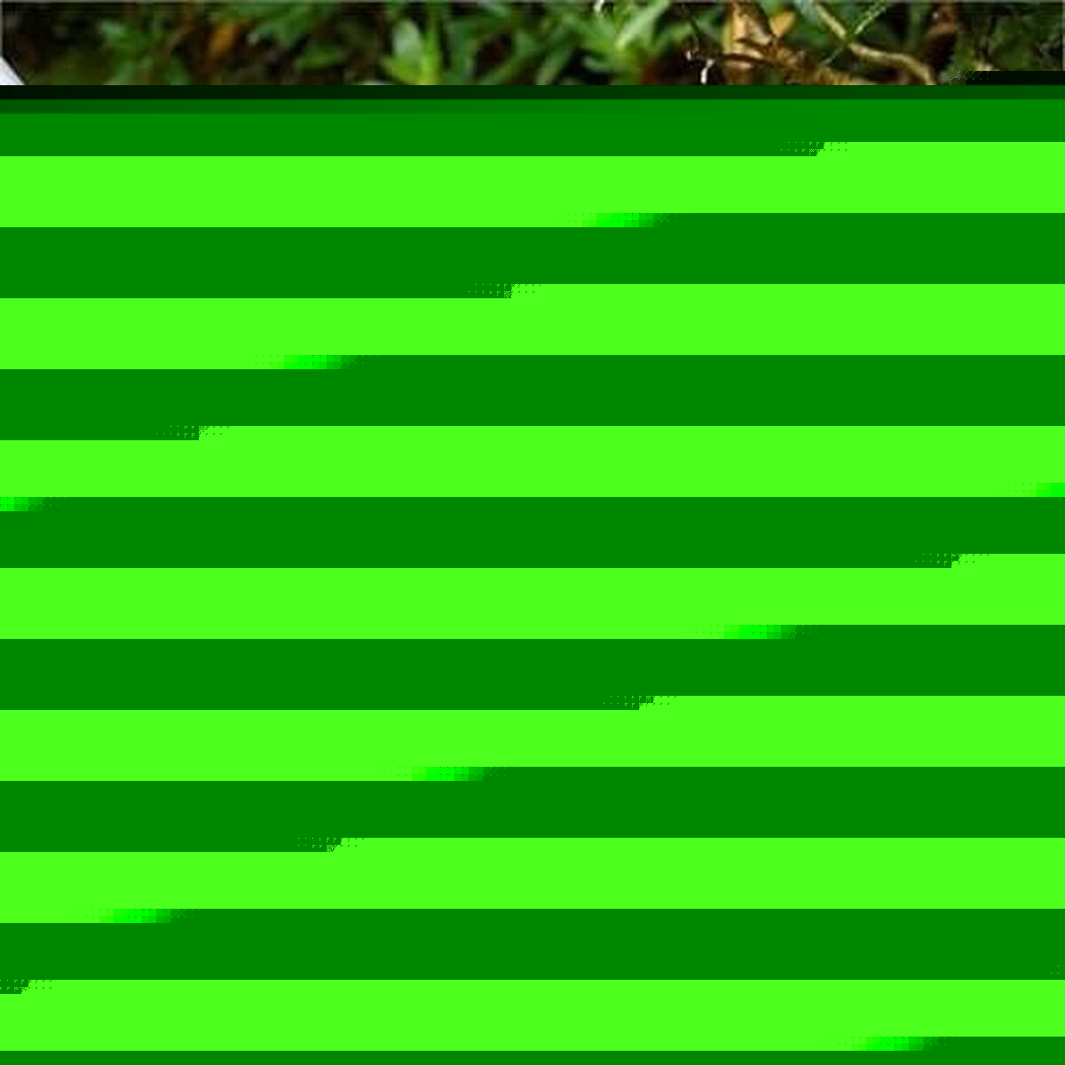 V4HA3B7B3B35B8CA7824BA8B7859B60C2D5R4409766P4