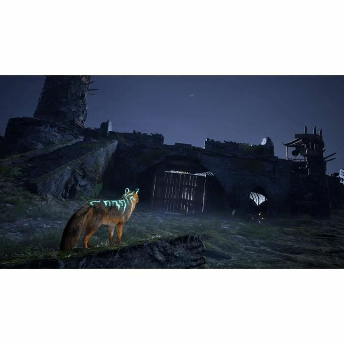 V4H2E9F50AC864487896FD076CC7C46630AR5781053P6