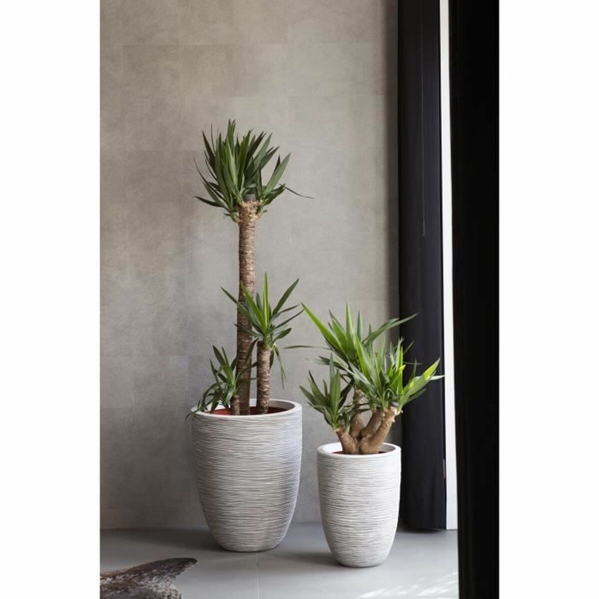 V6HD6CD20C36C9134A9CD46D84A2859638FR4917128P2