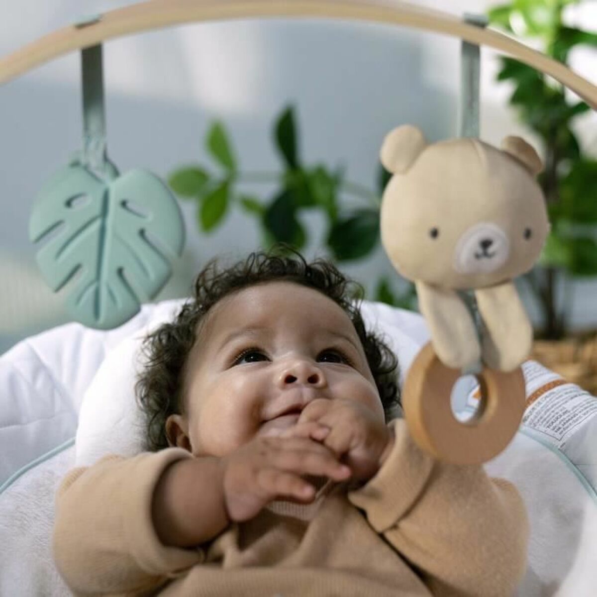 V5HD45B5E2AAC654961DA2F828EFA74E0BAR6738635P2