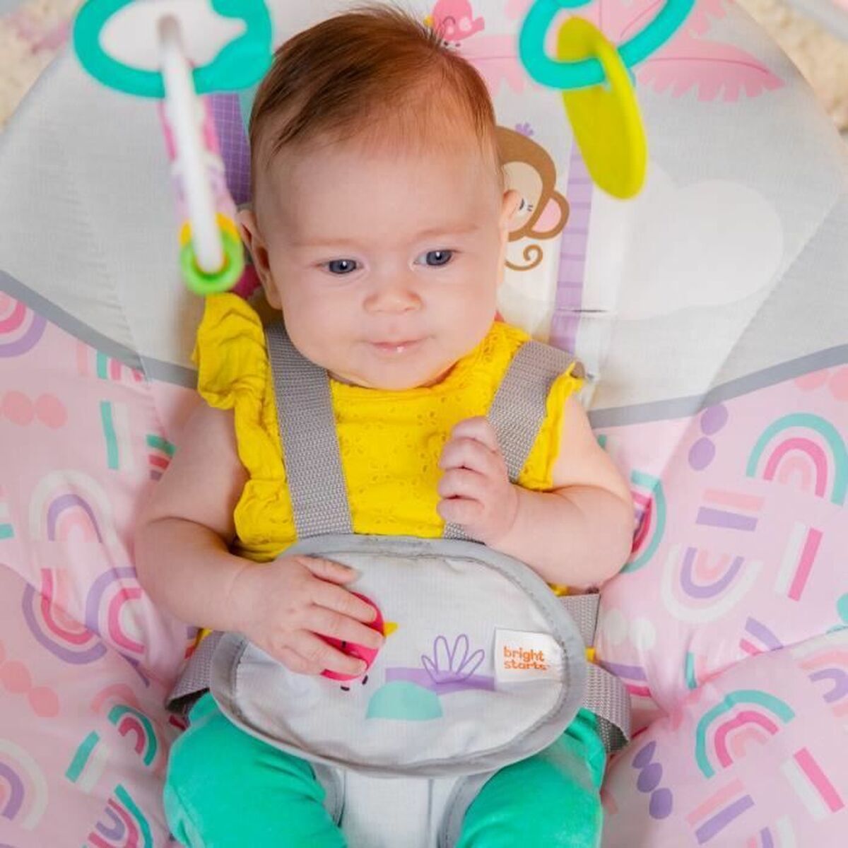 V5H4E917204616C34C1D553E505AE4F885AR4224525P3