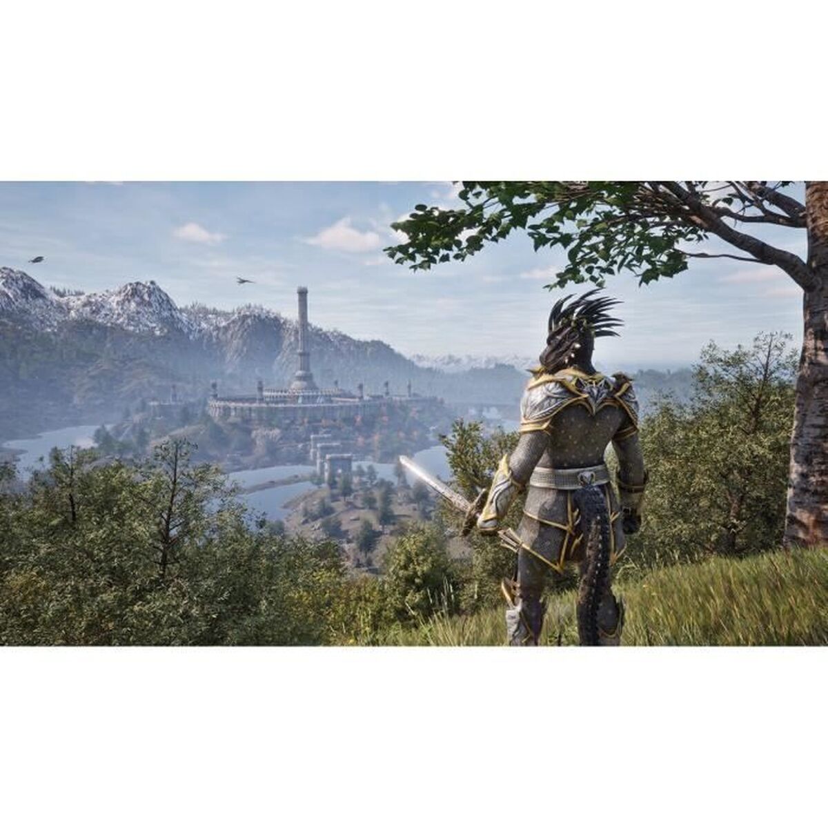 V3H46EBF33B81C7791A987BA20C56541F1ER7418474P2