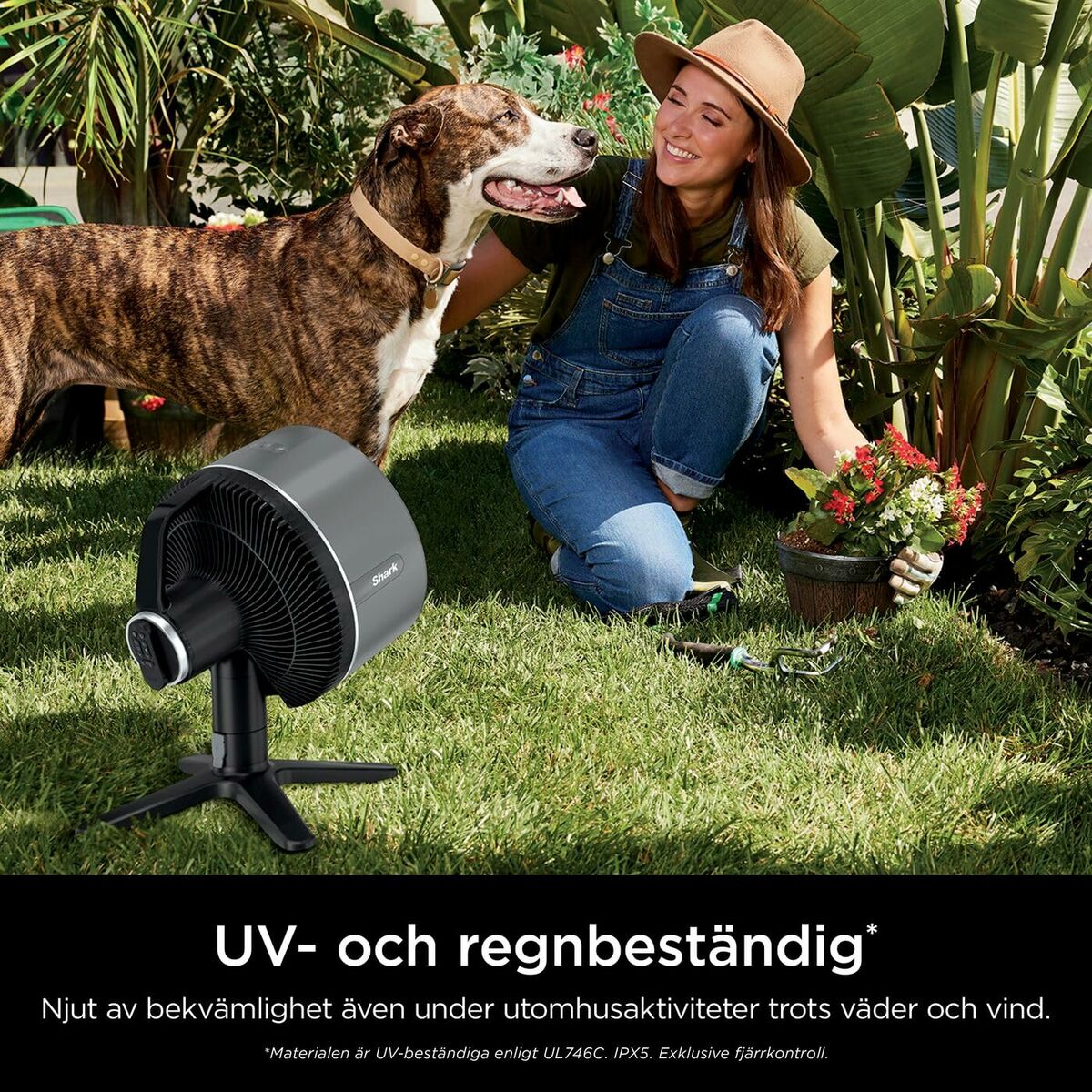 V4H3FB31EBDF9019C307ED121B345FA8CA6R6207009P9