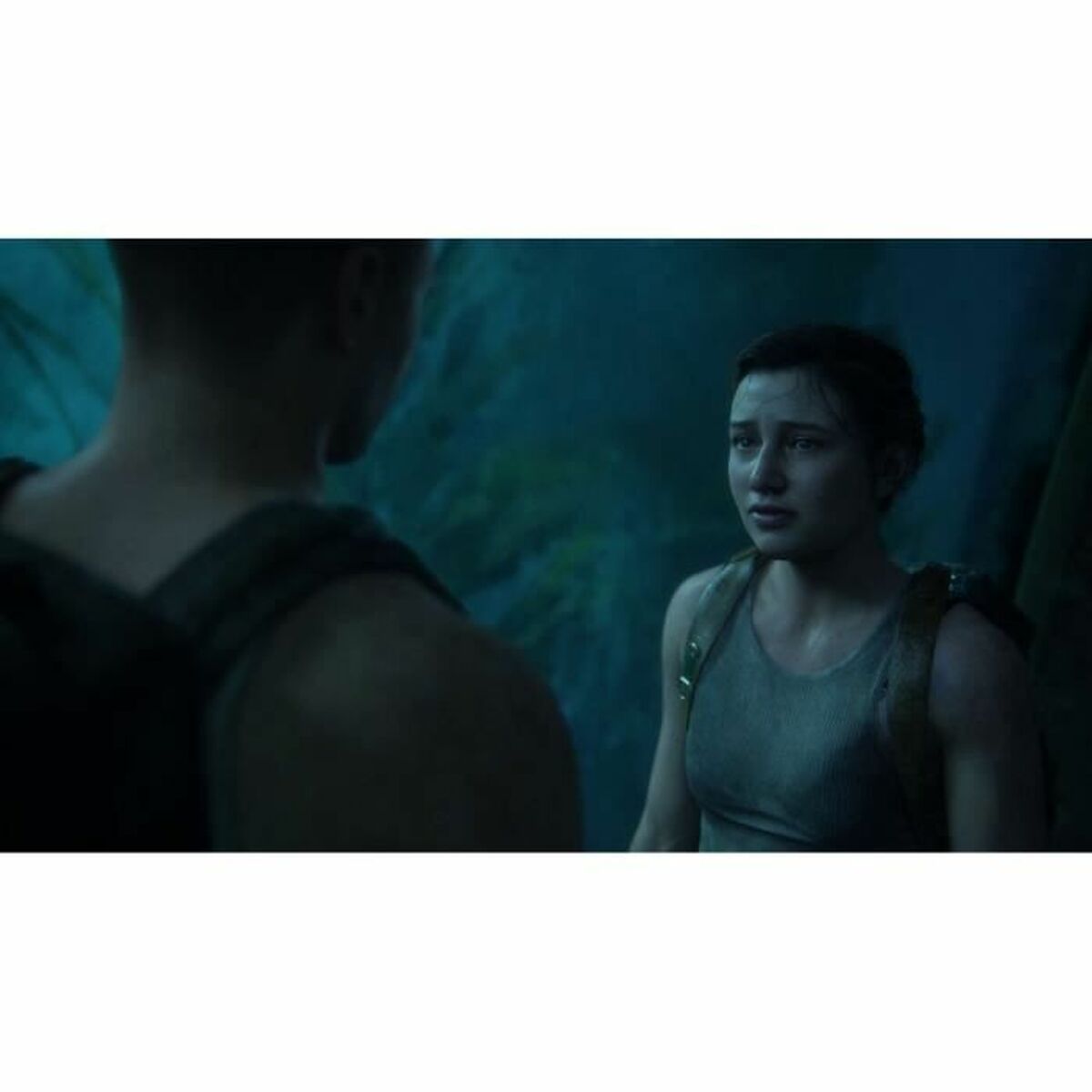 V6HDAA0AFCC186514586F33C30355062005R3882405P6