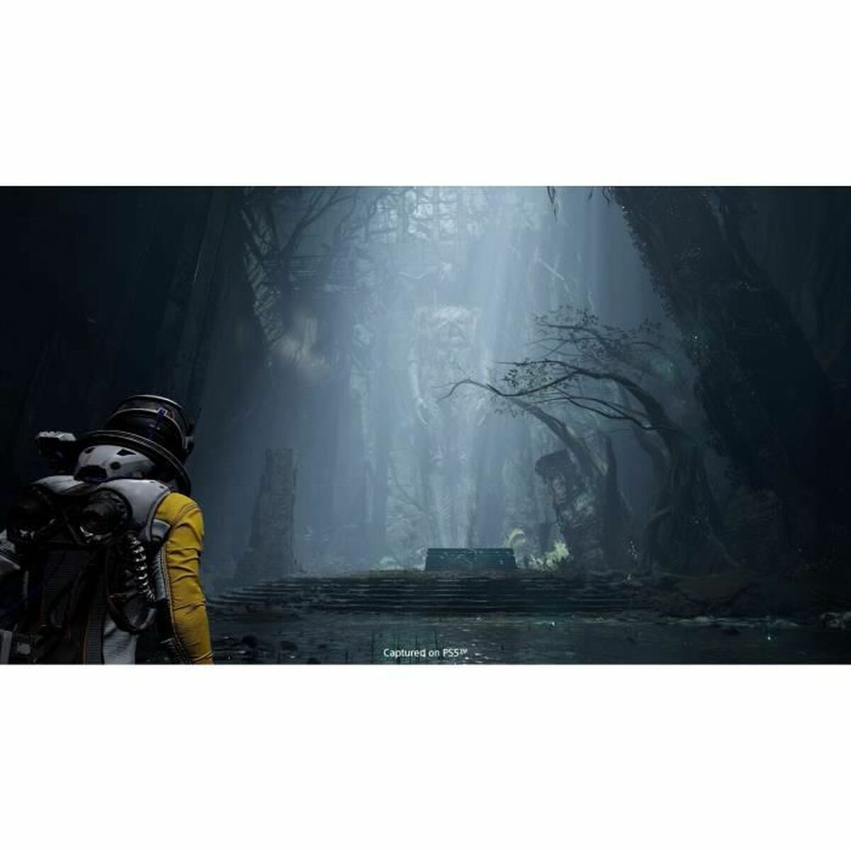 V7H9CC06574B97B64C38CB94DAE07AED446R3750942P2