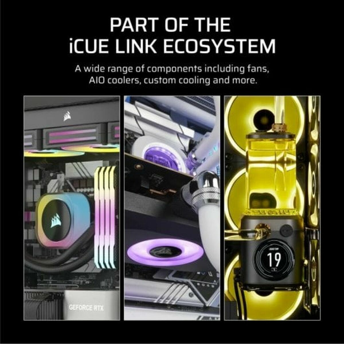 V4HCCF22121D884CAC5CDF185995E1FD279R6105318P9