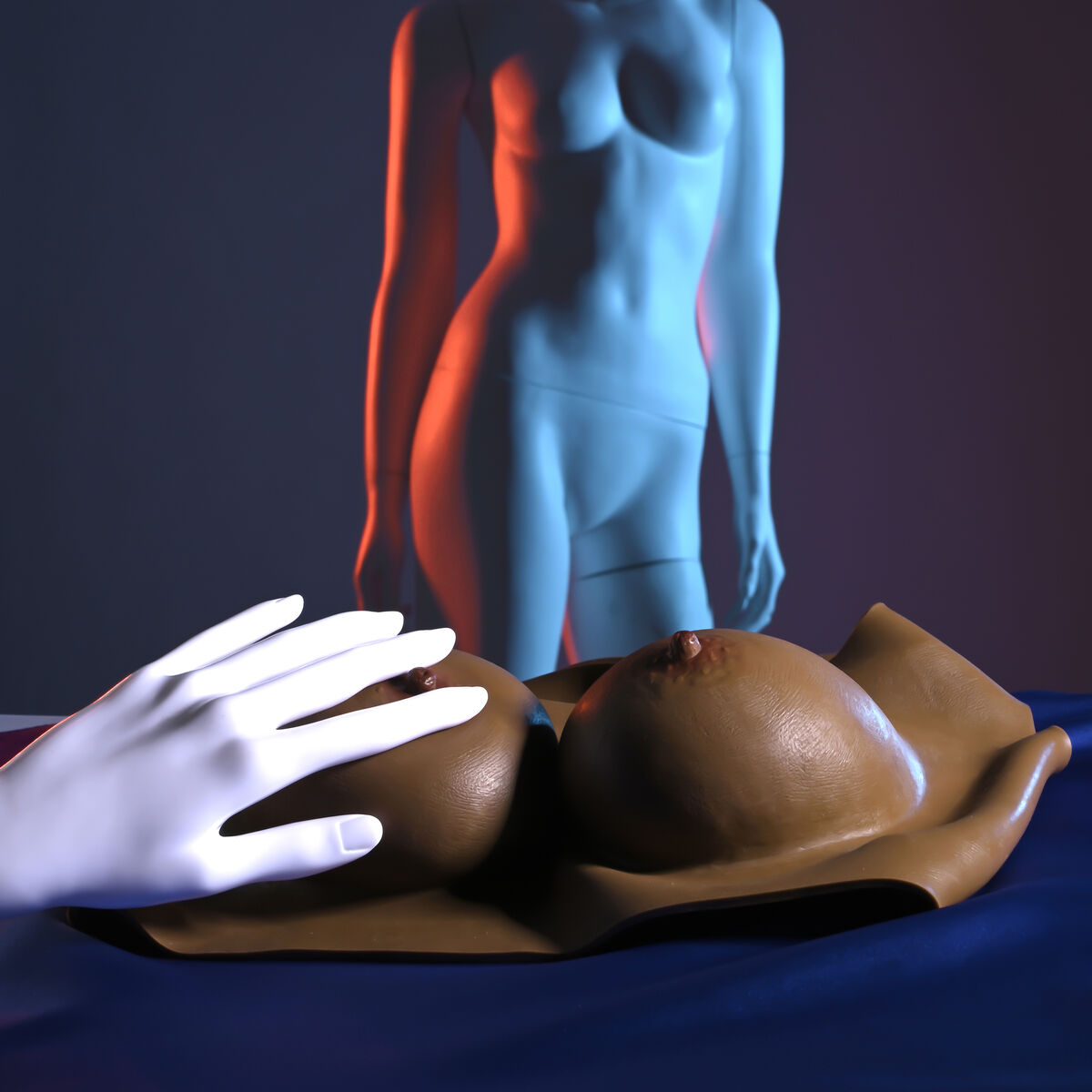 V7H986CF1491F6ECC735B7CA40F8FB236D5R7245805P6