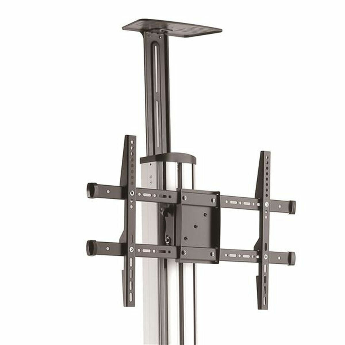 V9H6DB474305C4E3F0541A02FF4BF0BFB17R3685502P2