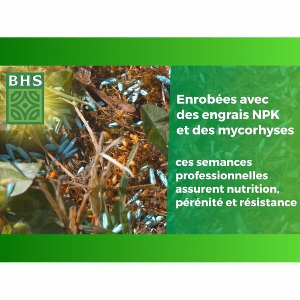 V4HEE5A9AB47BFB6B151E2B29ECFF7C362DR5808573P2