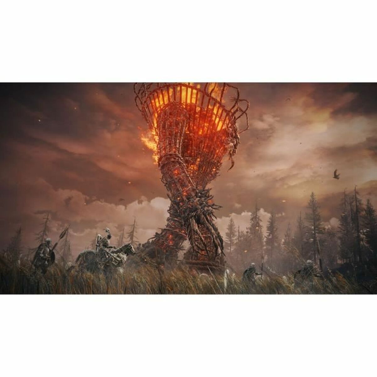 V5H161DF70229A306B9B0B8AF6ED313EDA2R4556595P5