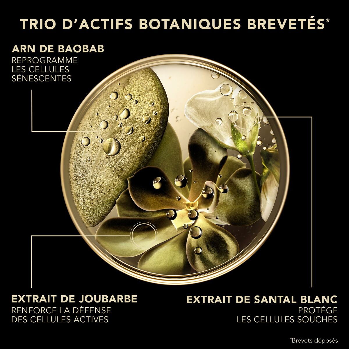 V3H45CBE30C4E26D52FA38D4E3D48152C79R7239465P3