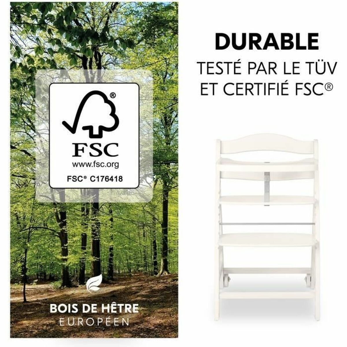 V3HCC6F5CCCB9A40A61E6823A4F751224F5R7054751P4