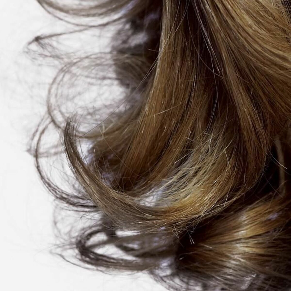 V6H738CE32E7F02C259A284CB47594422D7R4410060P6