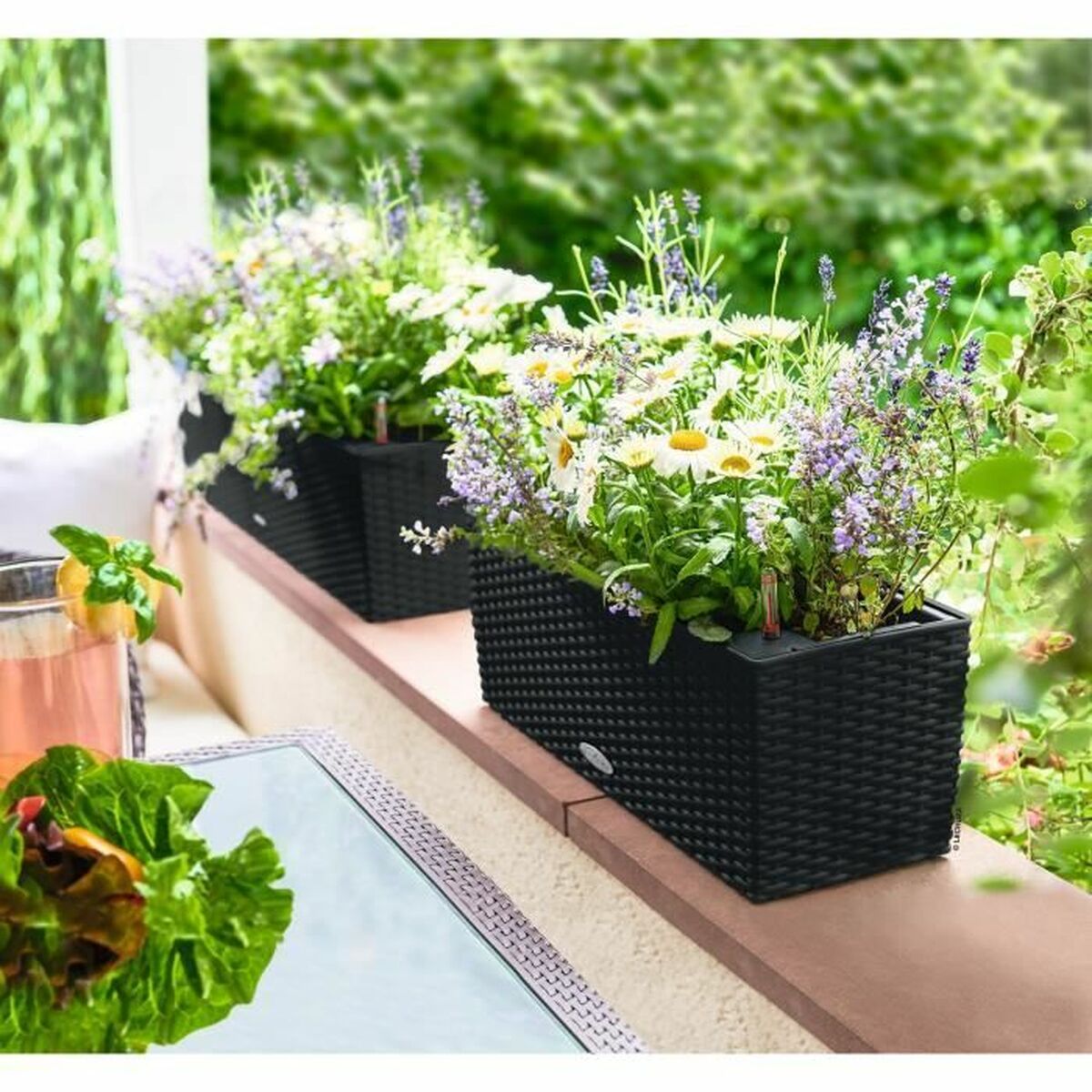 V5H81D557F75D3EE9D466D5D463D2D84065R6458000P2