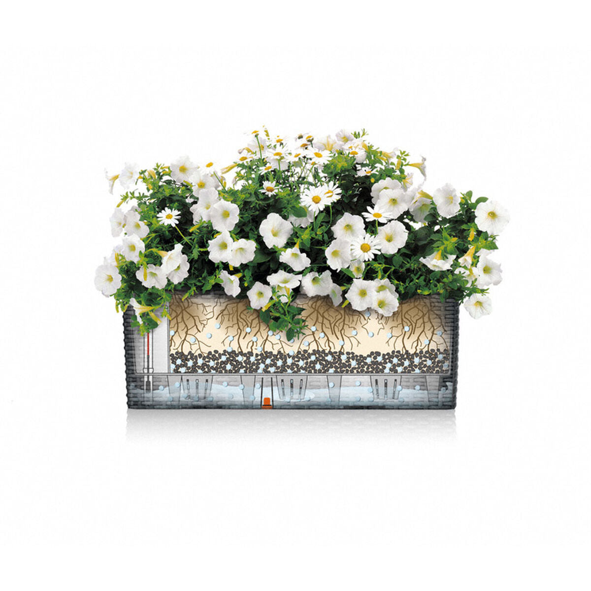 V5H5EEEA18967C7F21A33C1695E4C50967CR7249170P4