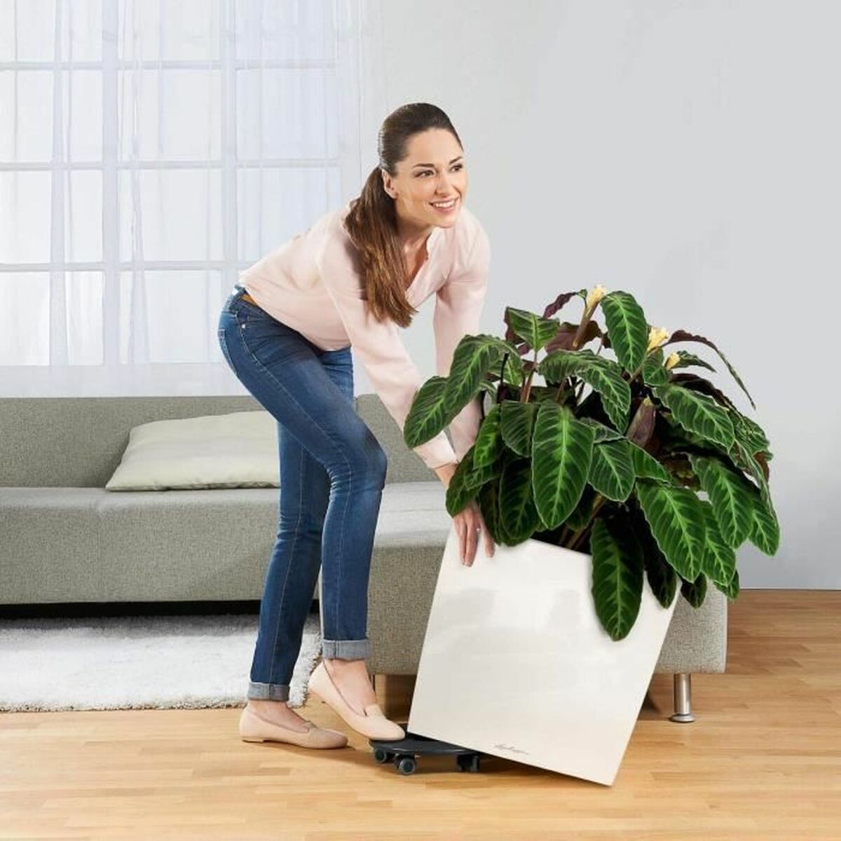 V6H5A164EDB2127D8390CFDA26425733B8DR4371602P3