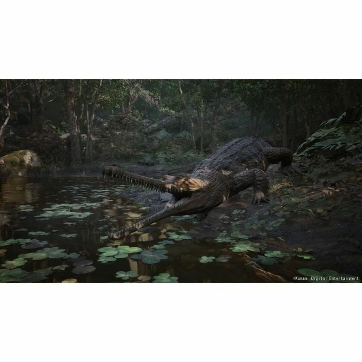 V3HE97DBC7375DD0114F752837D1F5F48CCR6915944P6