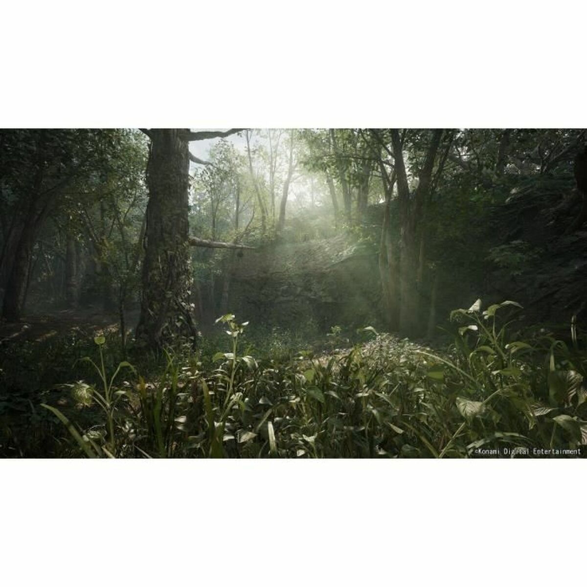 V3H2F1A10479704B5B832B7555708154294R7049406P5