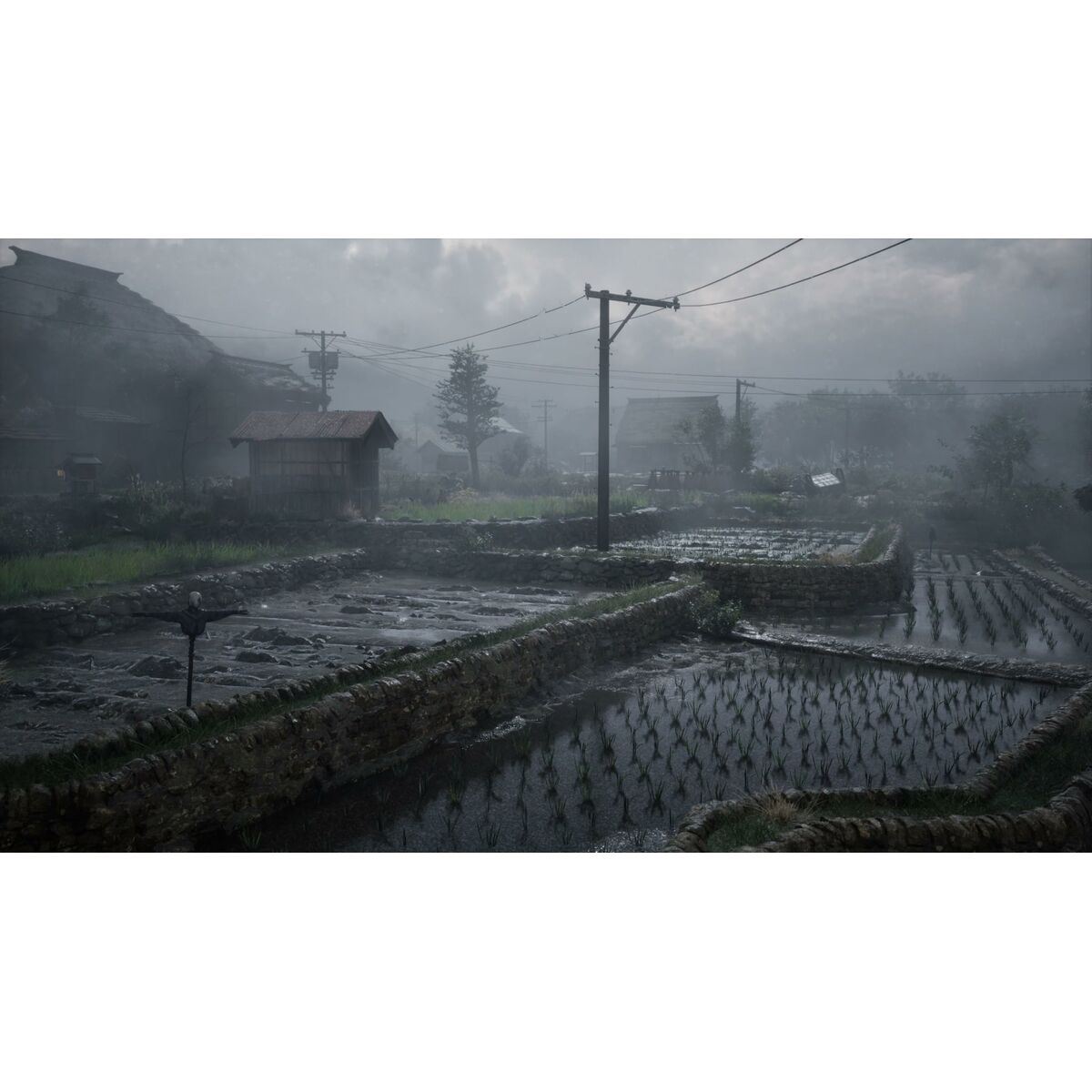 V4H679ED2665C49BAC2286E4CD561CBE81FR7288021P8