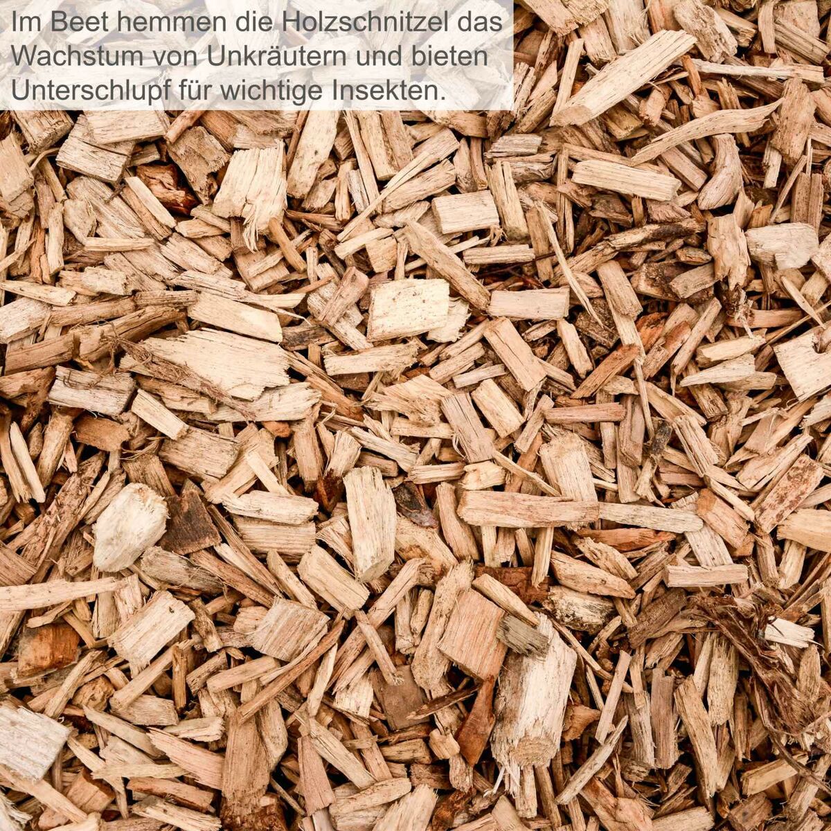 V8HFEE157DA9FC5C5BE6CE3E0A5334AD37CR6444330P7