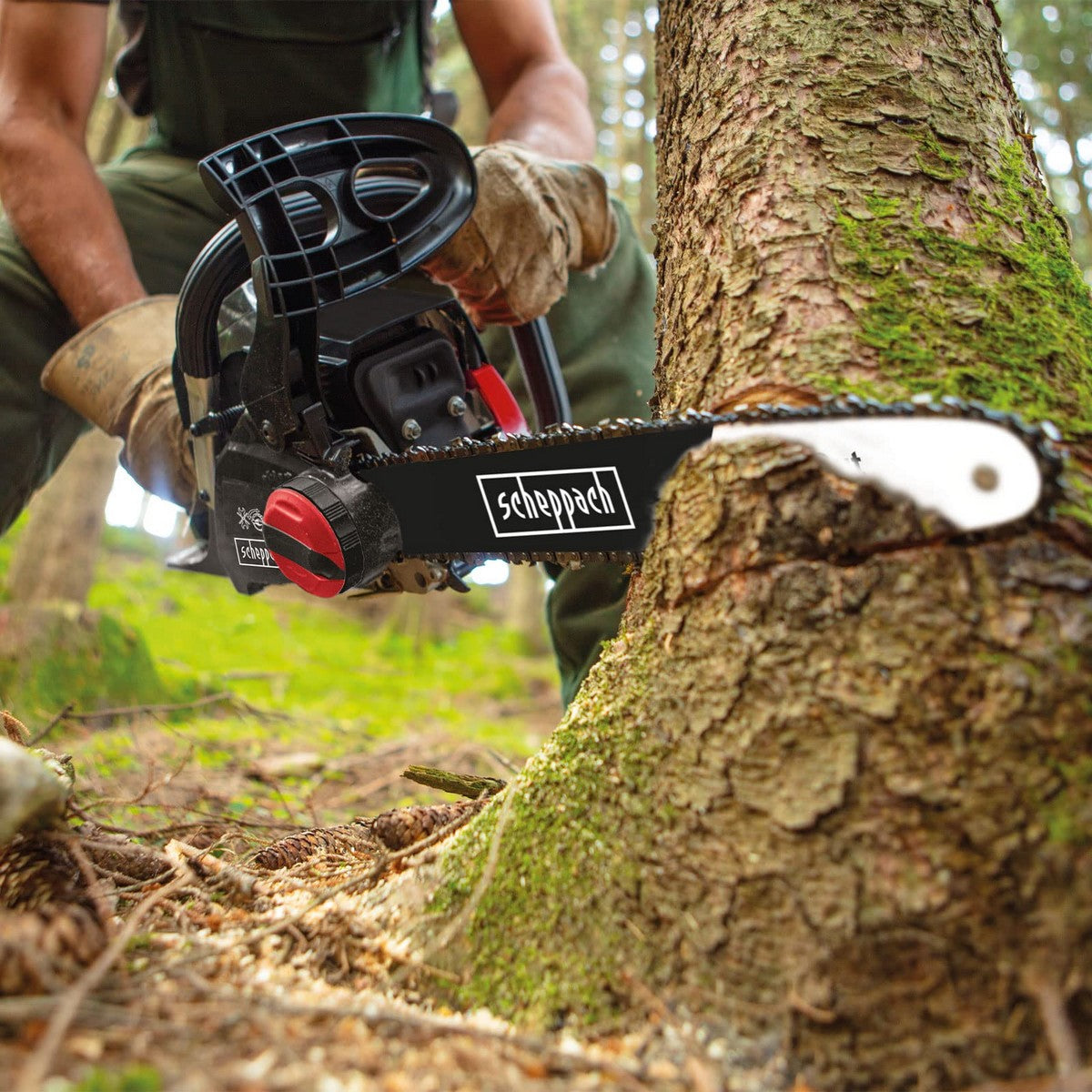 V13HF62EC55D24F146C521F468AE7D88576FR3384867P6