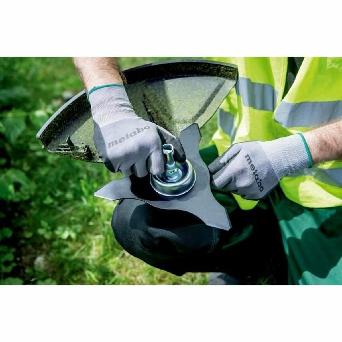 V6H6C5919C52FC6644E79D0C690C9DDEF7FR4895637P3