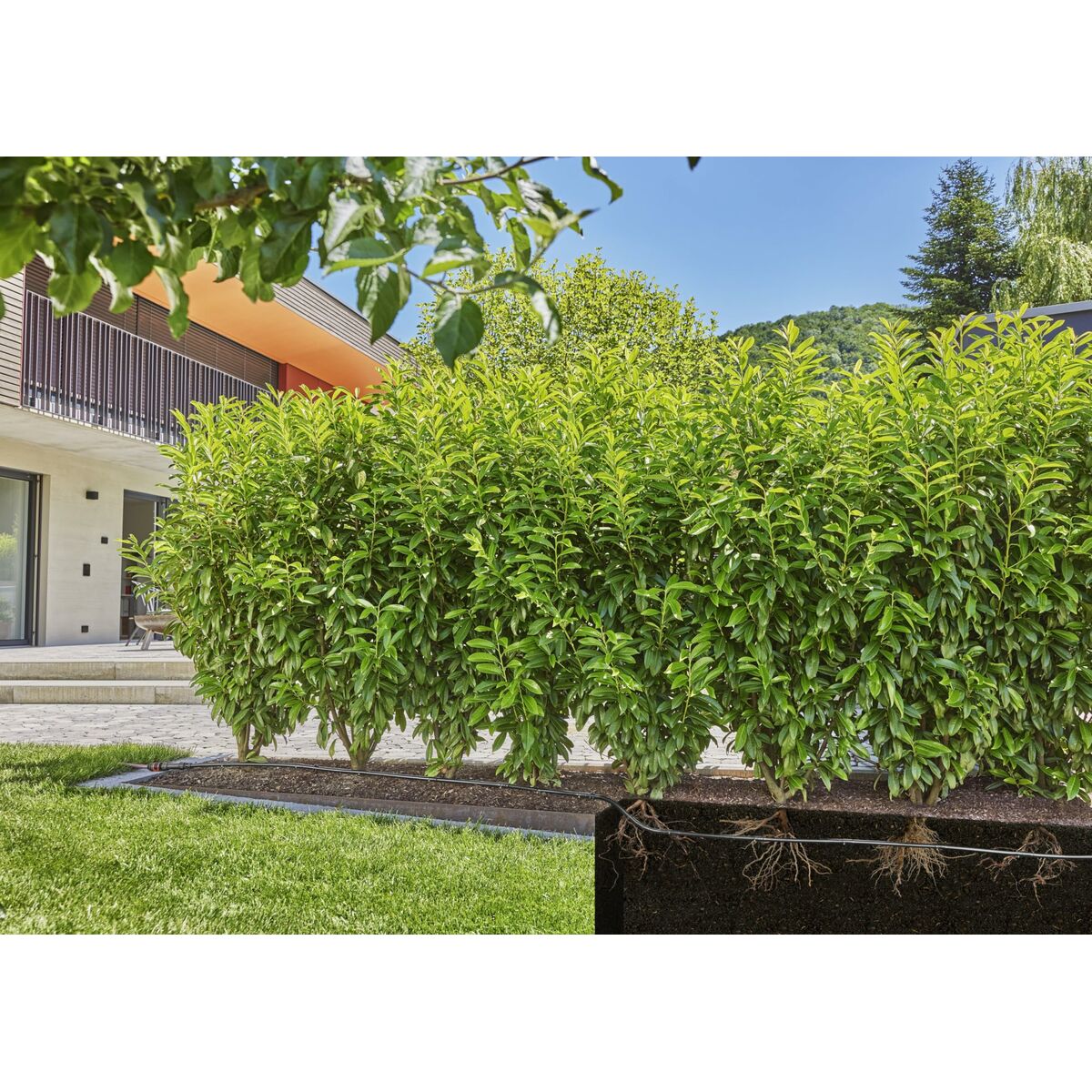 V5HCFC6B2A5B0D2E0D72A33A69905EDC96DR7162853P10