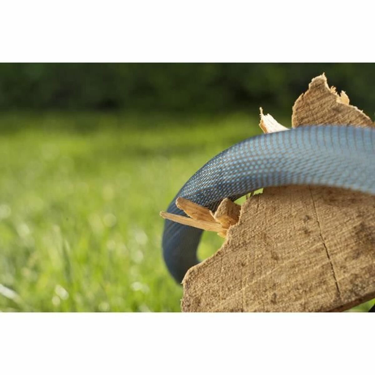 V6H8CB82069CABF01D20BC7EAE65D36FBF1R4220134P5