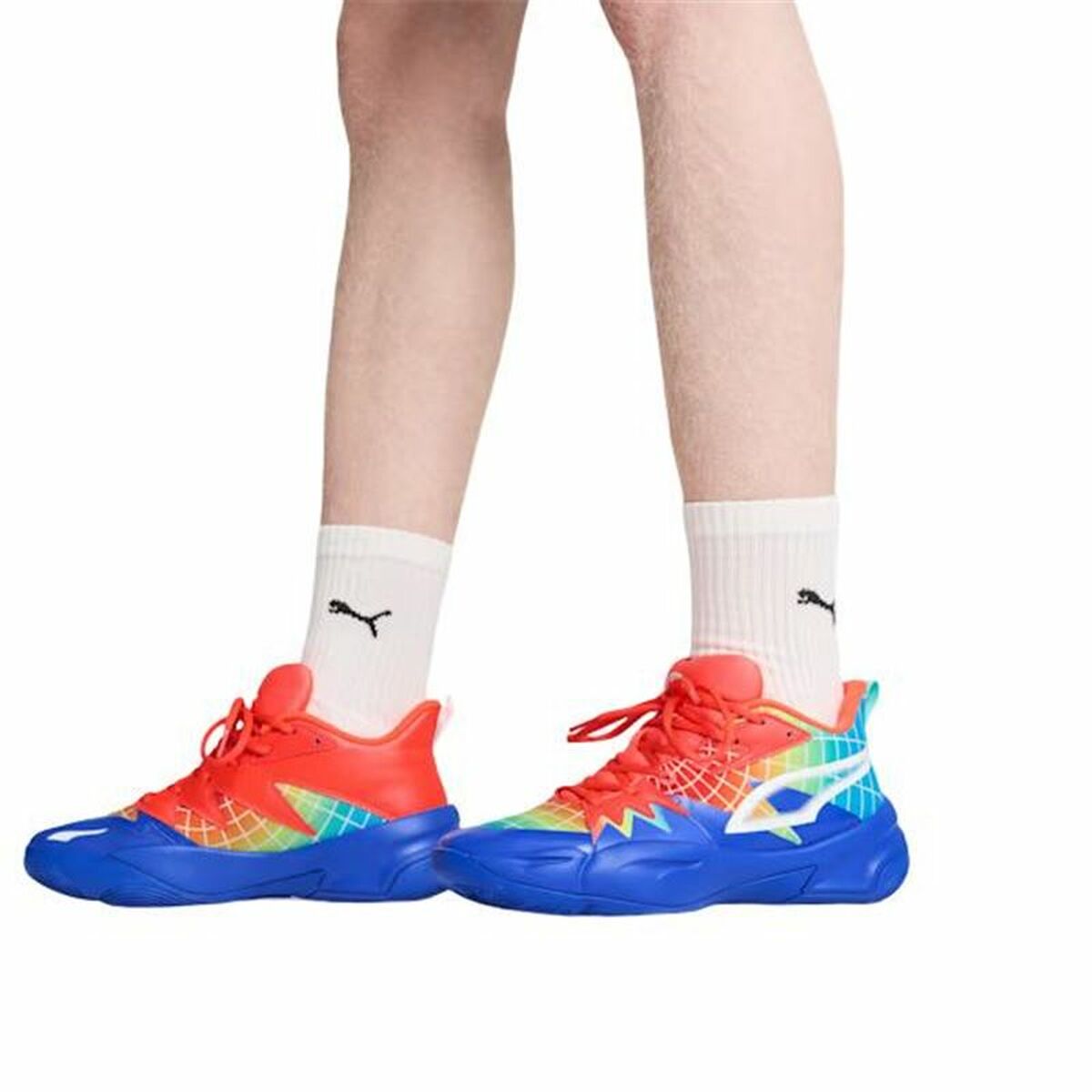 V6H036224FD240E4F218BDCB30338716632R5445361P6