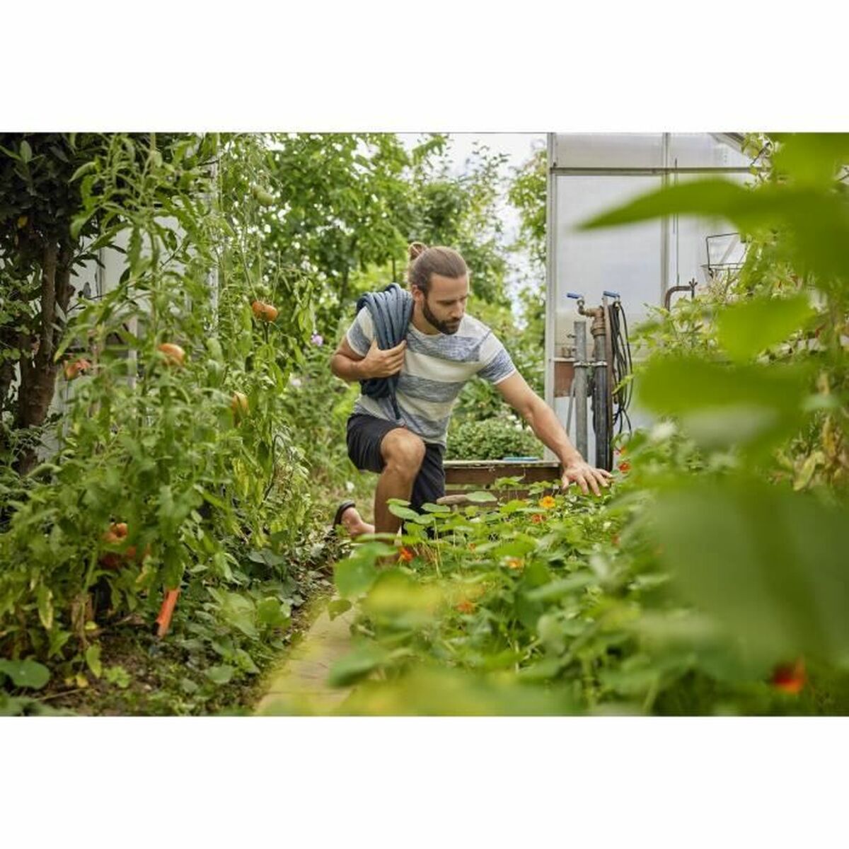 V7H9C1C628A17083B873BEDC6B2D952E8C1R2926556P3