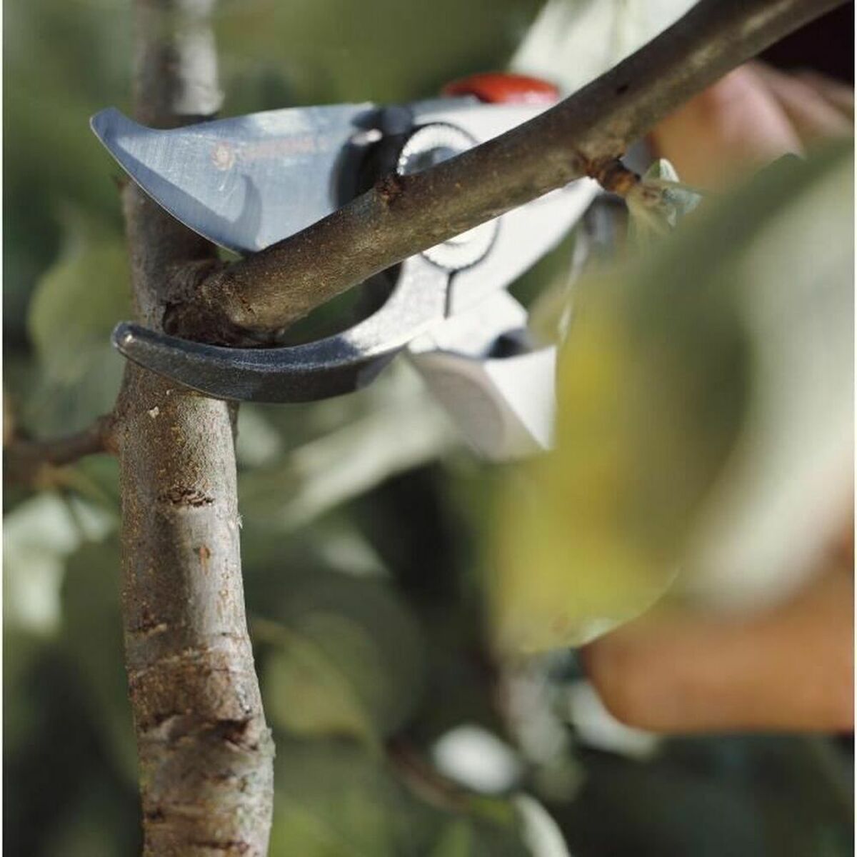 V10H2996E07EEFC3DEE8A9CCDA05AD3A5E4ER6248120P3