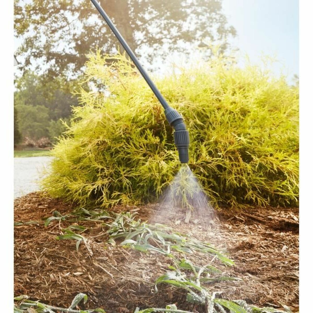 V6H85E2B482E95892D7C5FCBF17A05217C2R6352502P2