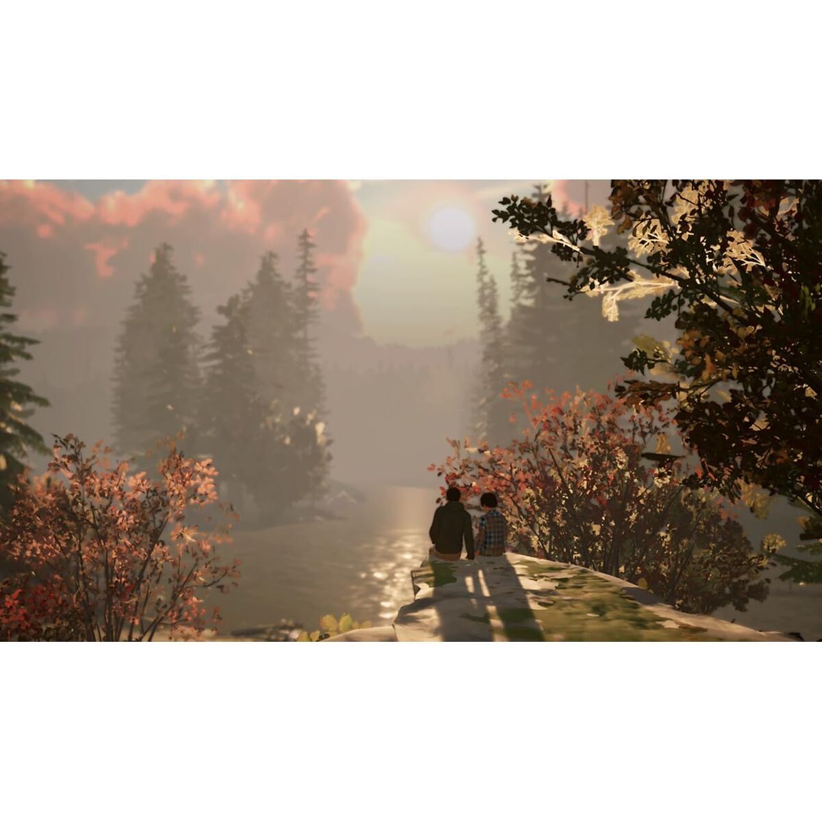 V3HD116441E8AEC8DAD0662D2D0A4282DAER7379640P6