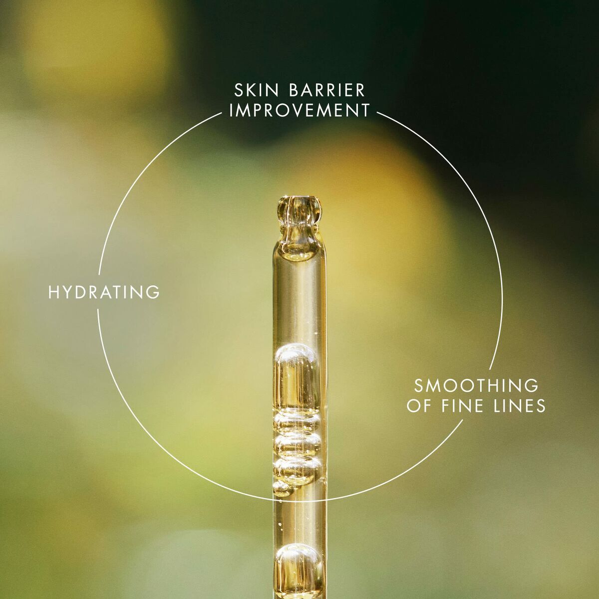 V3H50172A424EB0739E2562C6407E119865R7477110P5