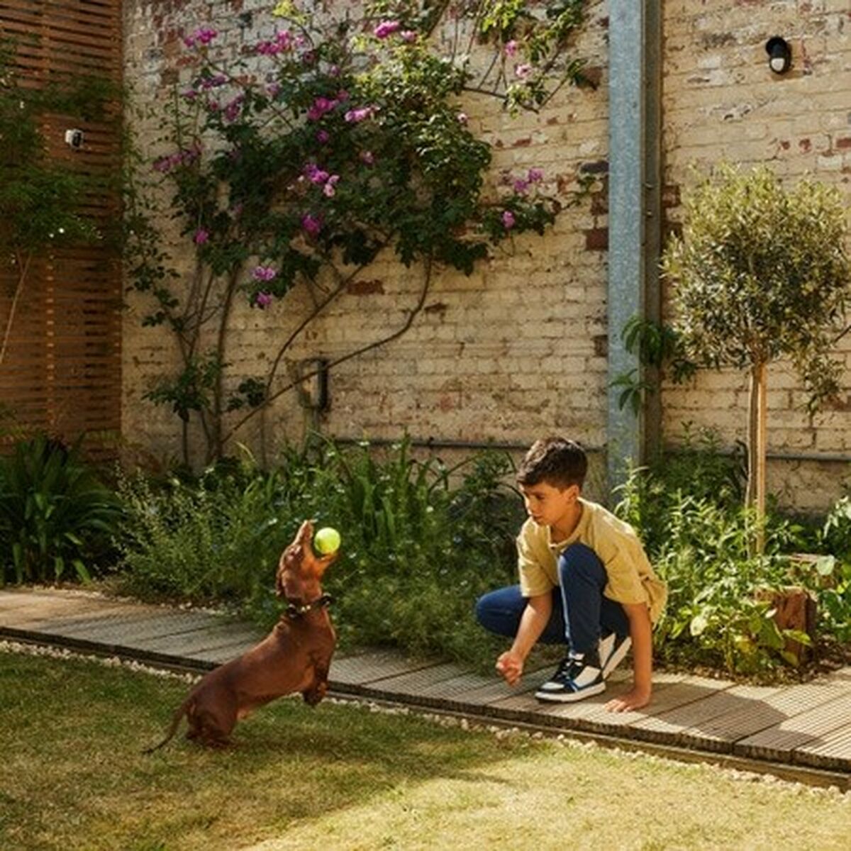 V4H8B6E4E7634E3F9855333953F43F11483R5841843P9