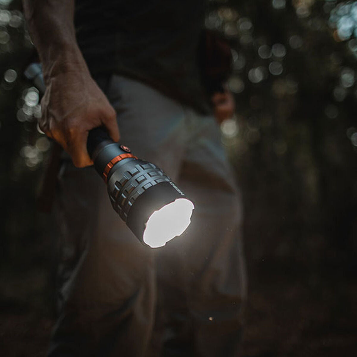 V6H58E4D61065C498CDE9E9A840D4E71288R4107387P4