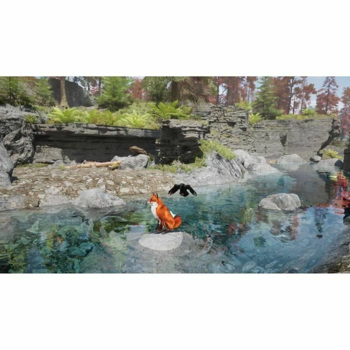 V4H66DFDE06506C1DB4512F68296FD17D92R5781047P3