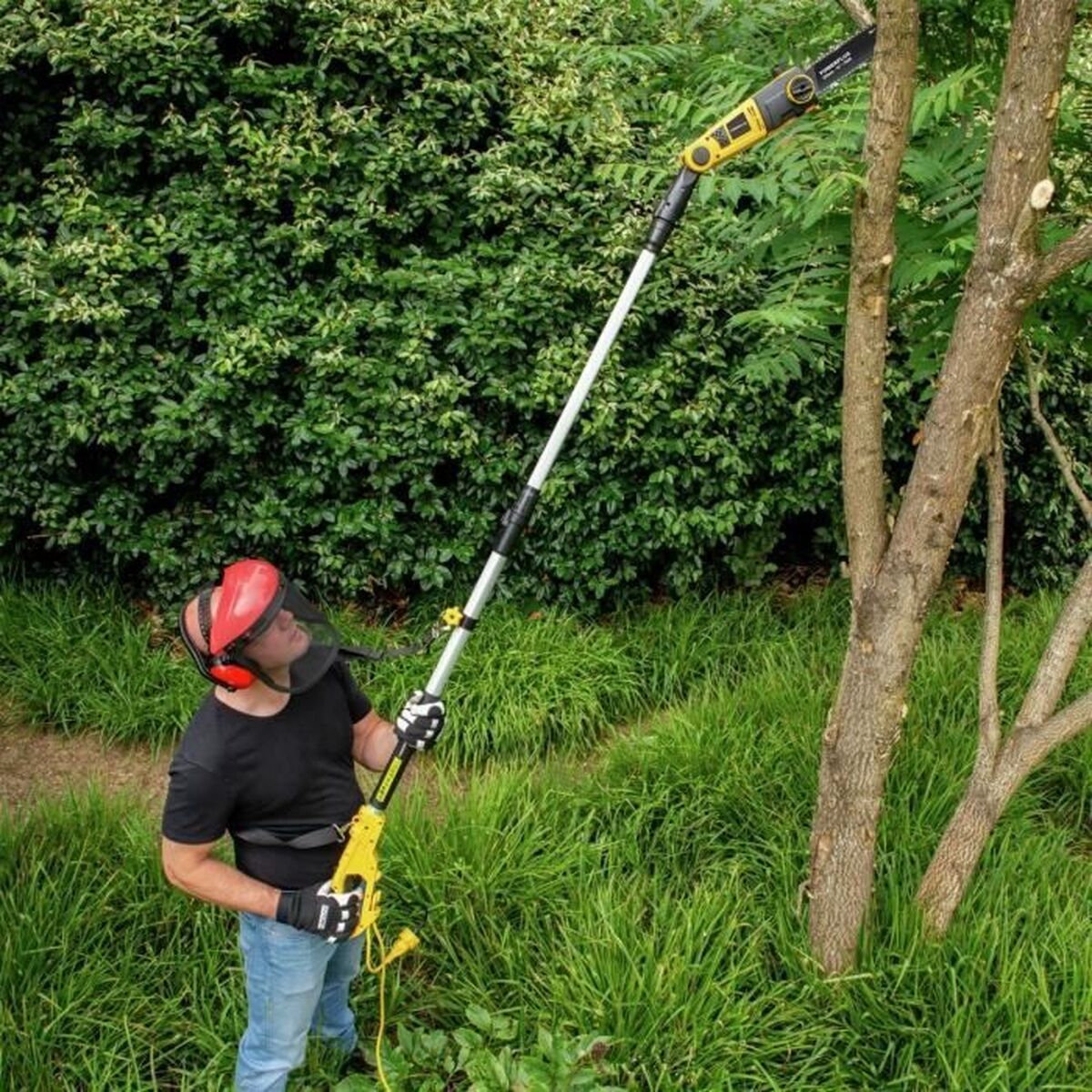 V4HCCF3E5E74BFA1C31F6E11470B3B01964R7424283P3