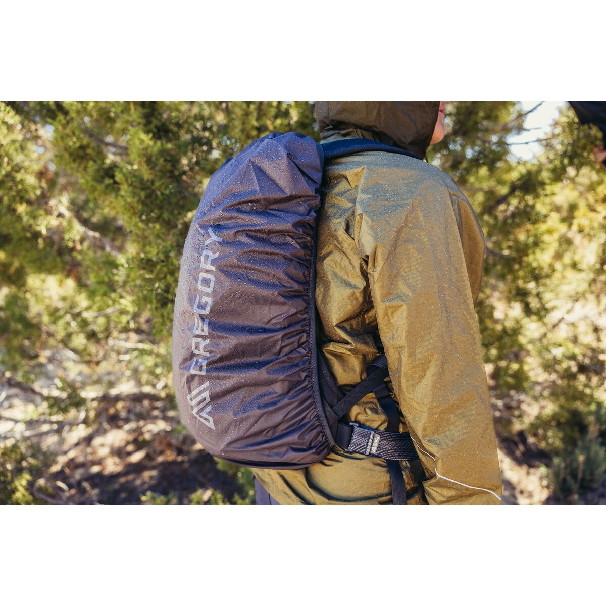 V6H1598FF63AB73A09DF44A6FA51C0DD011R6421010P8