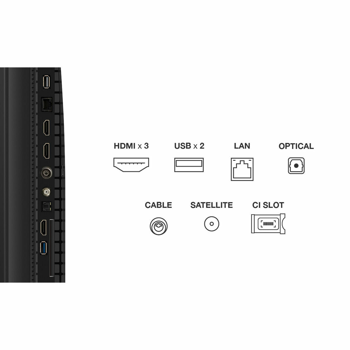 V4HE8C44A981D4FC61F78C5C55ADEDB59A3R5687856P3