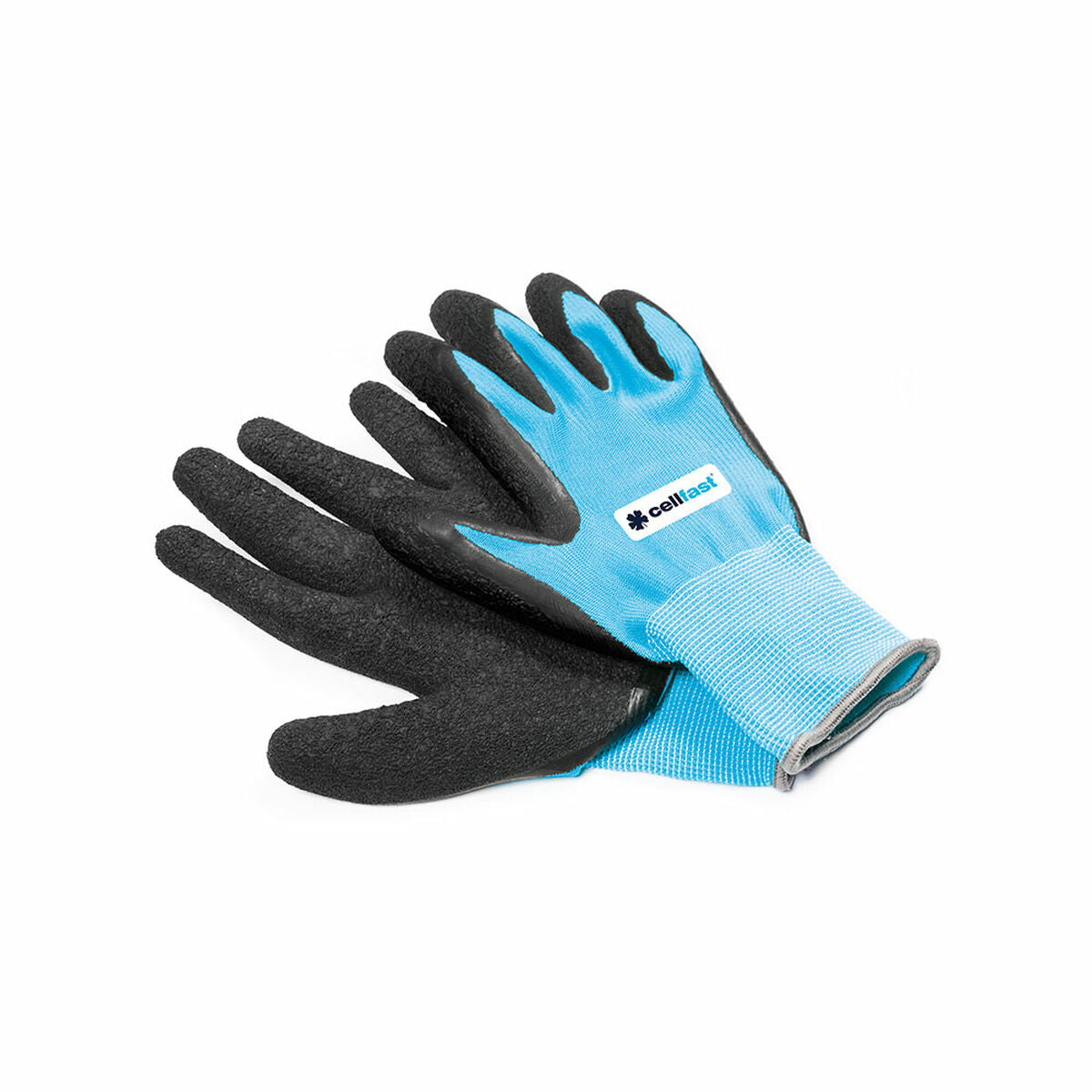 V5H0E80E3B89877DF31ED32D7D1A8601738R4449164P2