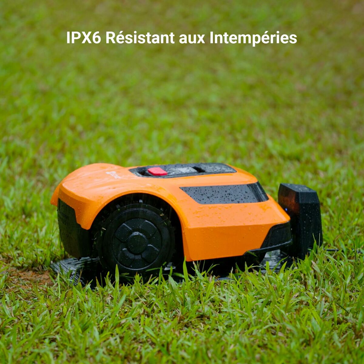 V2HC7AF7853C0CA9CE1D45592D9AC73E226R6835058P9