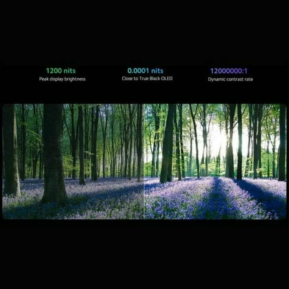 V7H29B11941D57BD0BBC76FDEB5EEDFF25FR6578717P8