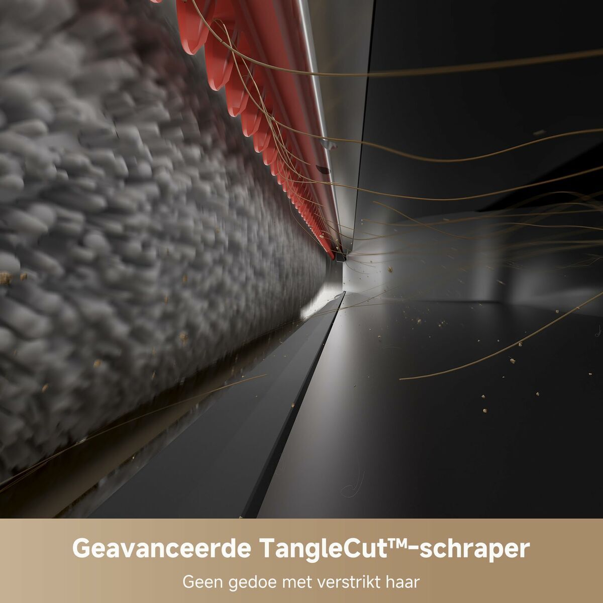 V5HC9BD26A9F2BEDF92396B1F2E36E8CD55R7306738P8