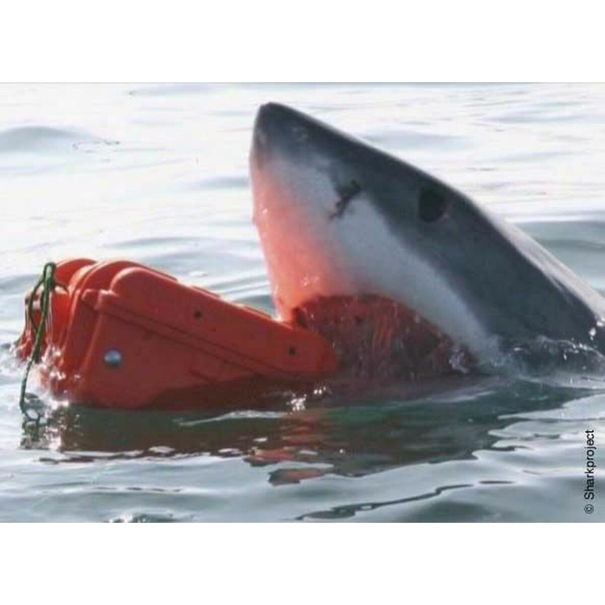 V4H87EC95624924A558270C4CE4E442FFA1R7121724P6